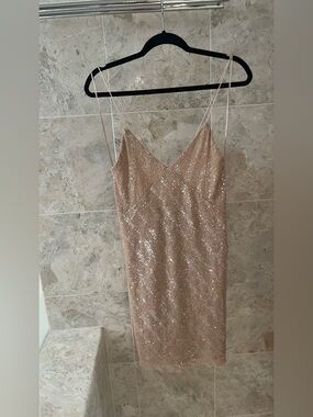 Zara Blush Sequin Mini Slip Dress